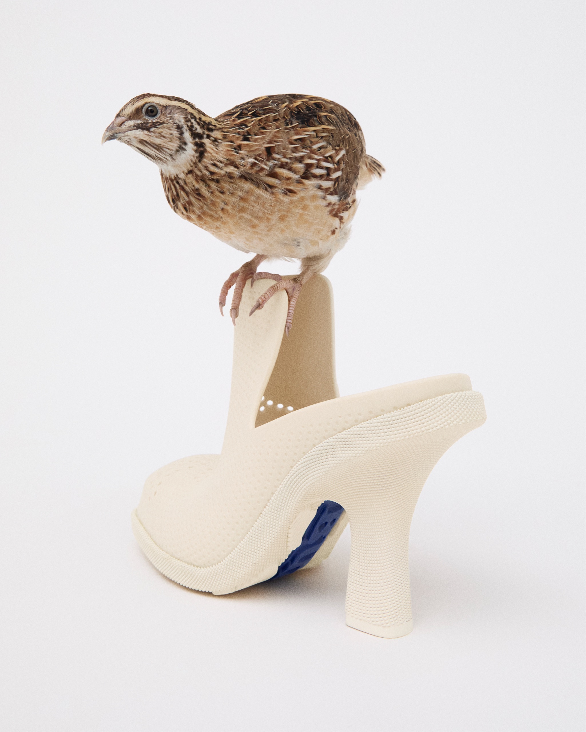 Burberry Spring 'Birds' Social Pickup, photographed by Anne-Marie Kuss, art direction by Harry Doncaster