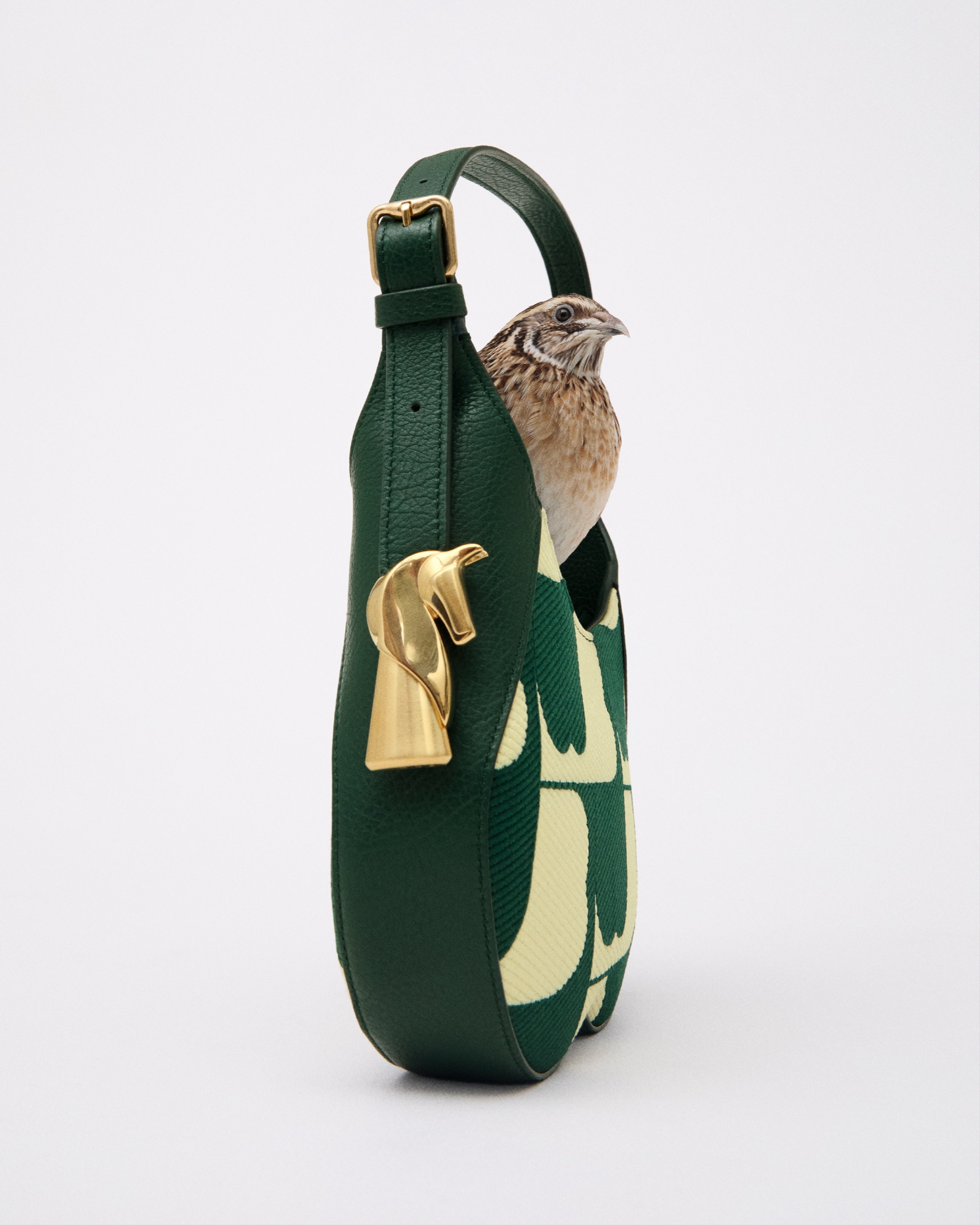 Burberry Spring 'Birds' Social Pickup, photographed by Anne-Marie Kuss, art direction by Harry Doncaster