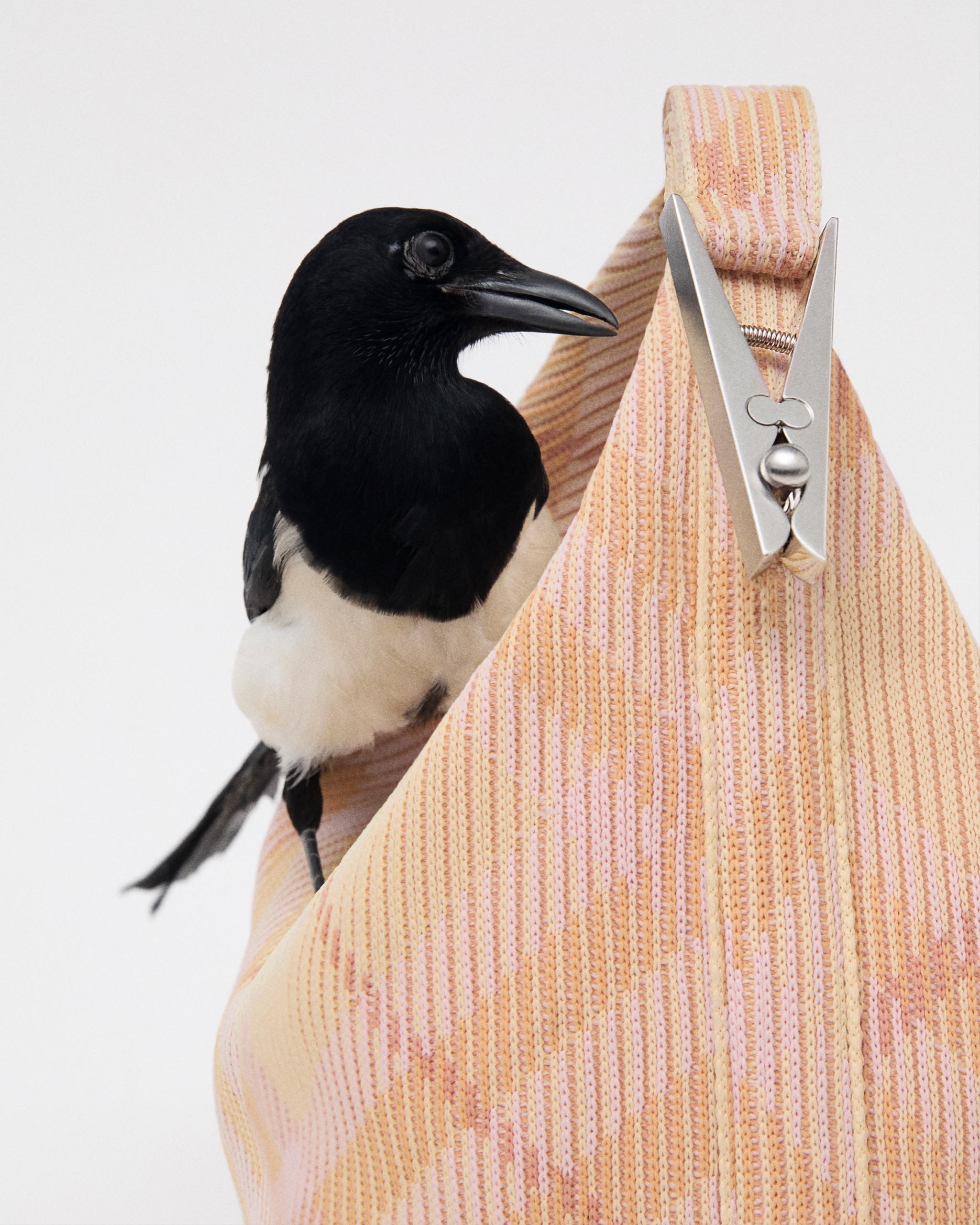 Burberry Spring 'Birds' Social Pickup, photographed by Anne-Marie Kuss, art direction by Harry Doncaster