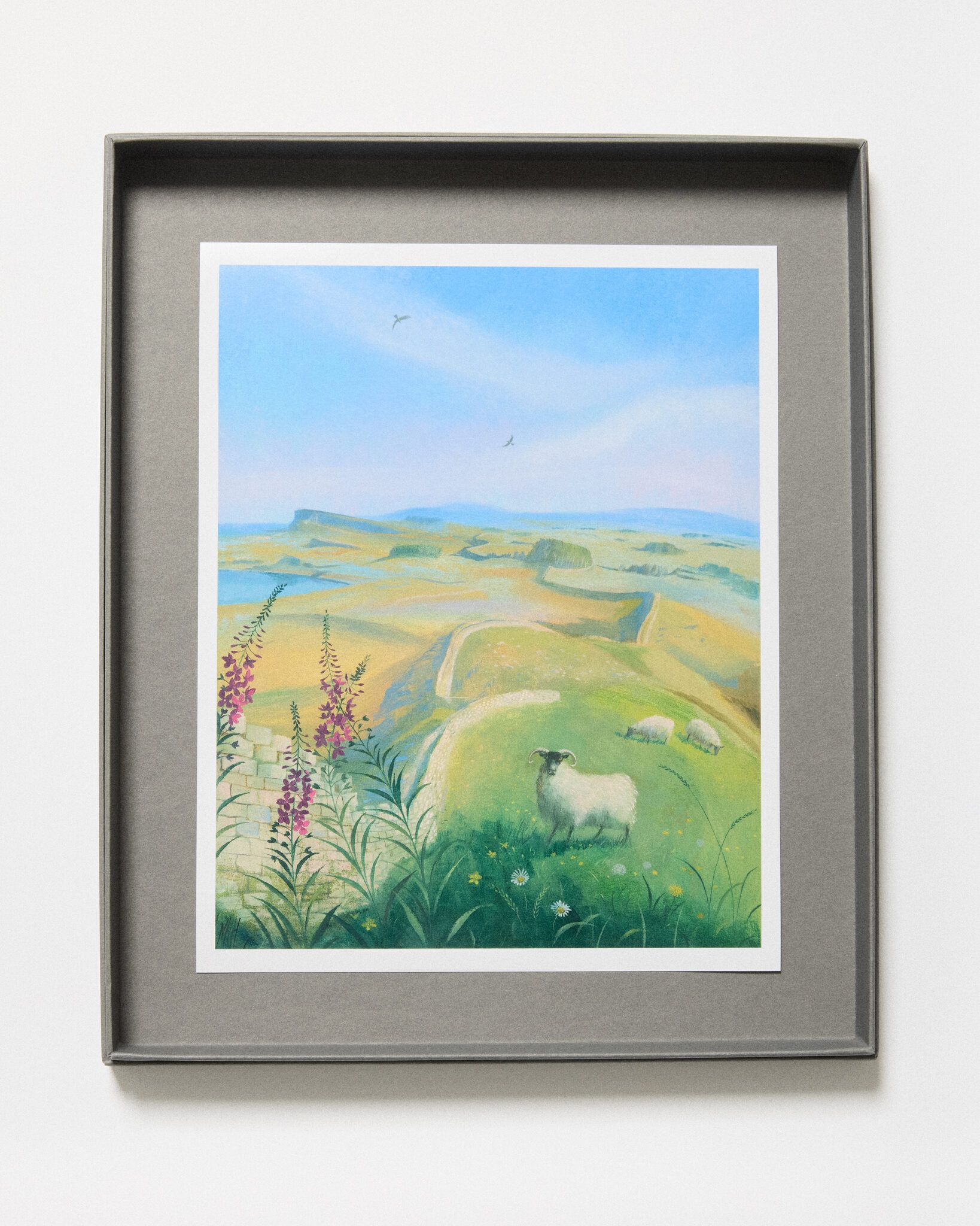 Nicholas Hely Hutchinson - British Landscapes